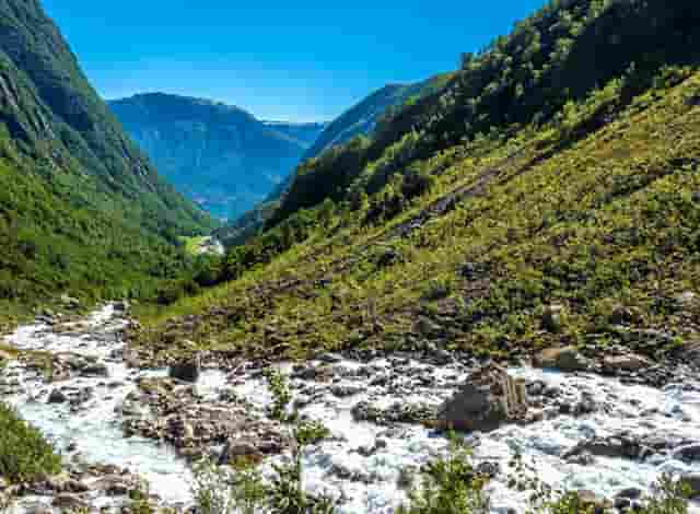 蔡嘉珍成功註冊理財規劃師，邁出專業領域新里程碑