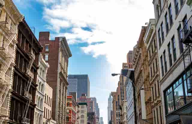 袖虎病猫攻略：猫的多囊肾是什么