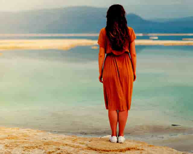 袖虎宠物解谜：猫咪的无精打采掩盖了什么问题？