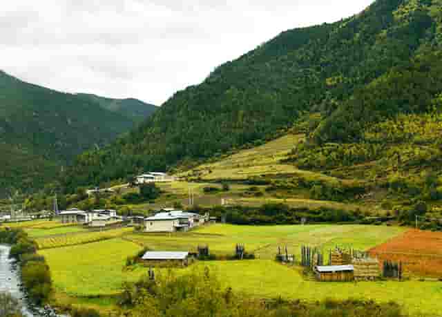 俄罗斯奥运女排赛程(2020女排奥运资格赛韩国对俄罗斯)