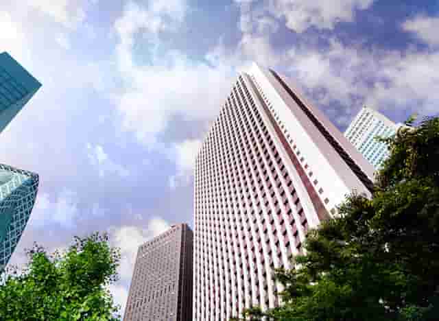 袖虎病猫攻略：猫咪得了角膜炎怎么办