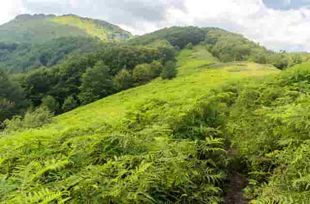 台风三级预警图片(台风三级预警和四级预警区分)